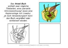 Mini-Buch-Amsel-B.pdf
